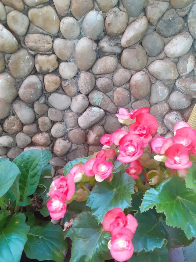 Pousada Recanto Das Flores Moitas Eksteriør billede
